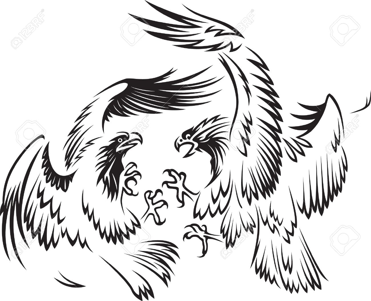 Fighting Rooster Vector At Getdrawings Free Download