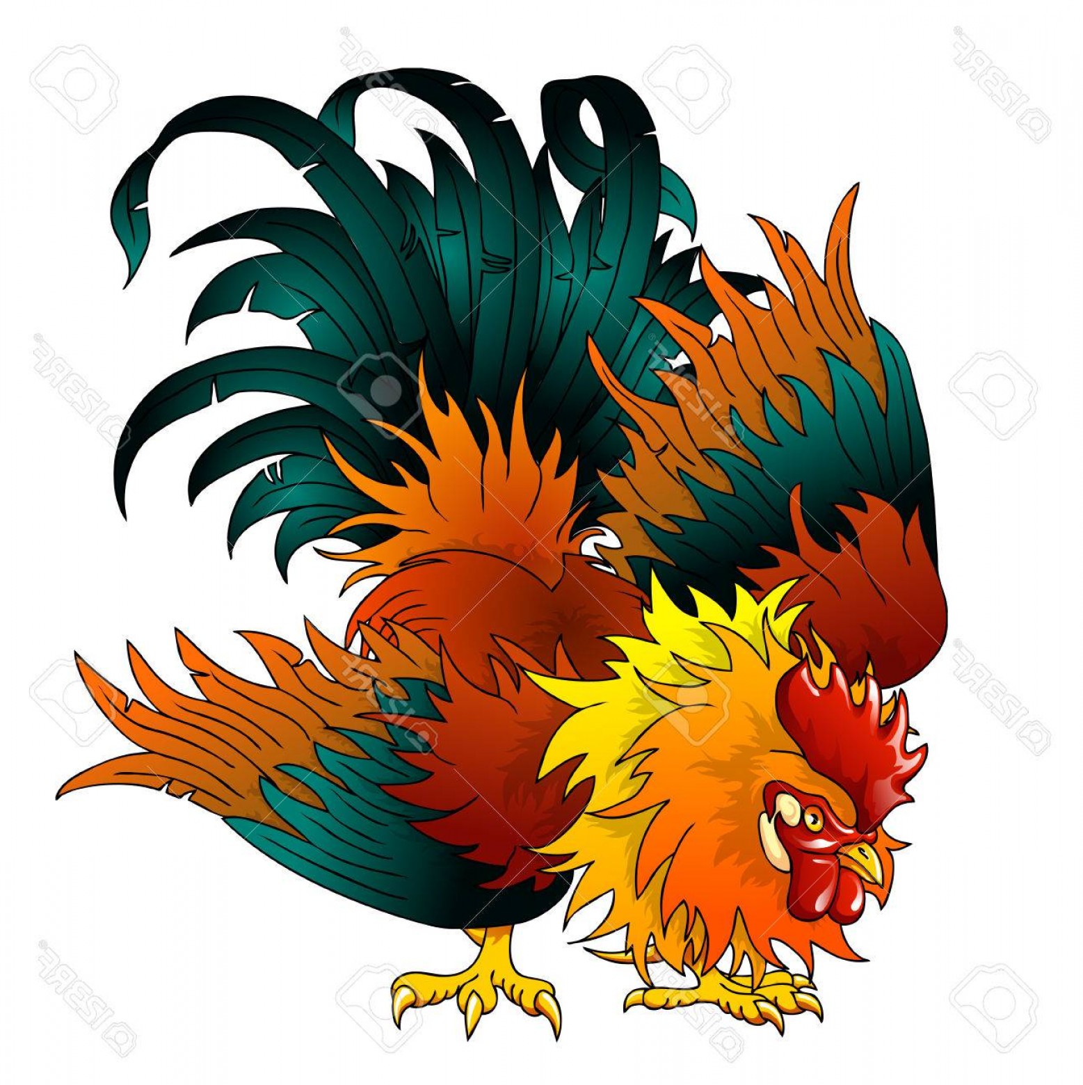 Fighting Rooster Vector At Getdrawings Free Download