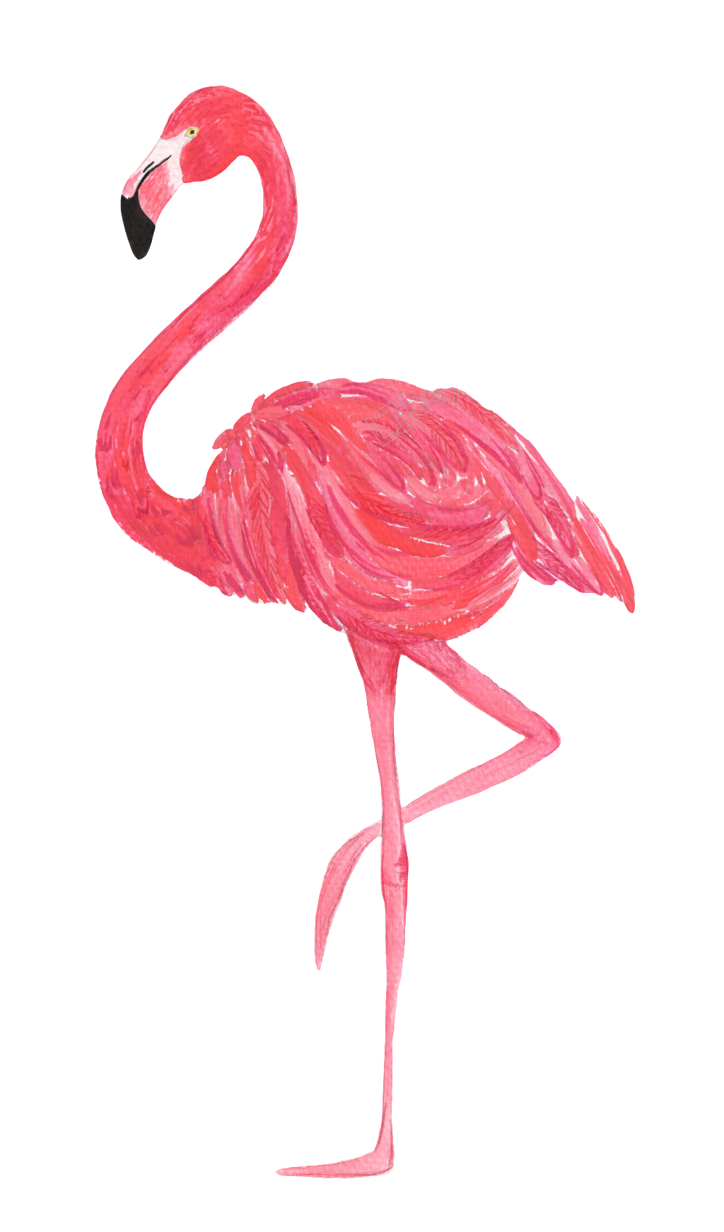 Flamingo Vector Free at GetDrawings Free download