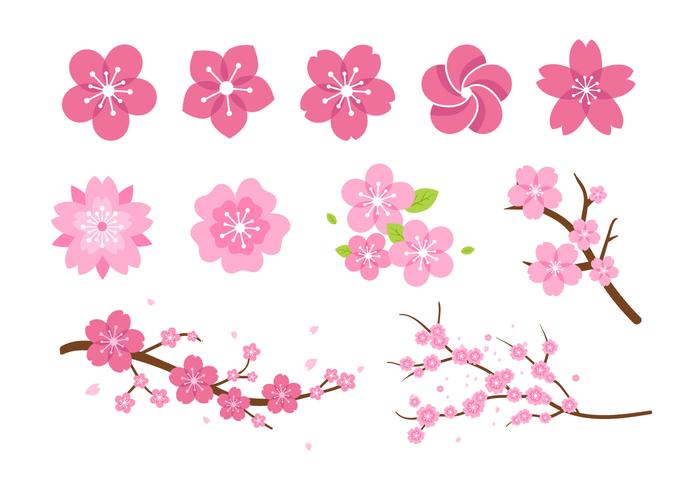 Flower Petal Vector at GetDrawings | Free download