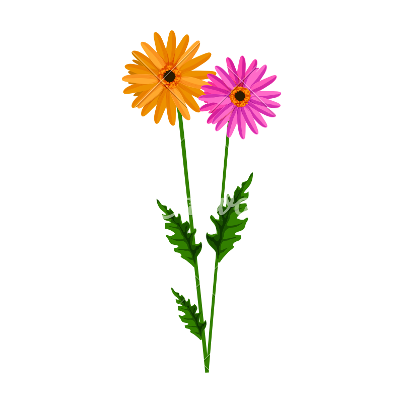Flower Stem Vector at GetDrawings | Free download