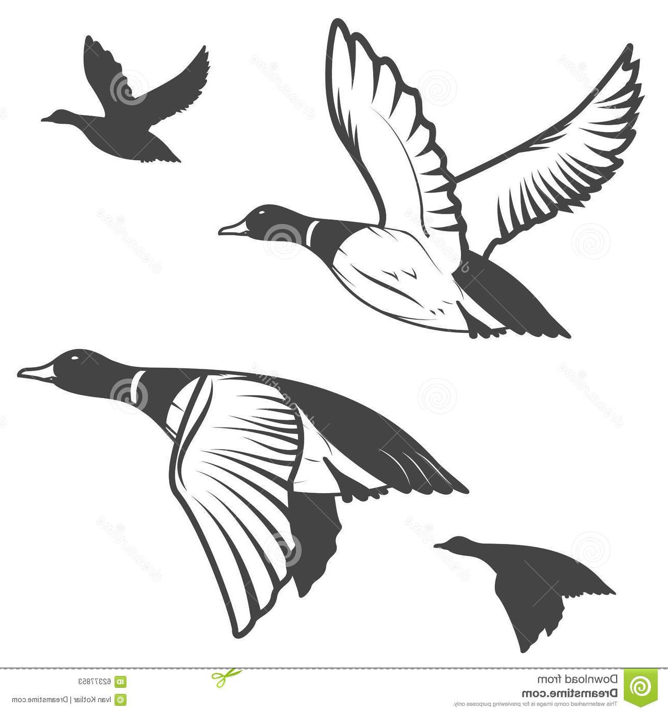 Flying Duck Vector at GetDrawings Free download