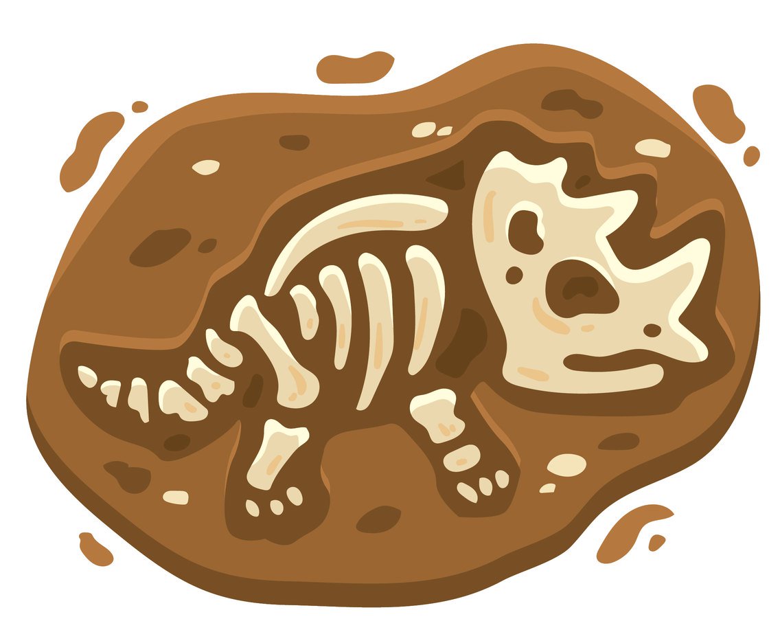 Fossil Vector at GetDrawings | Free download