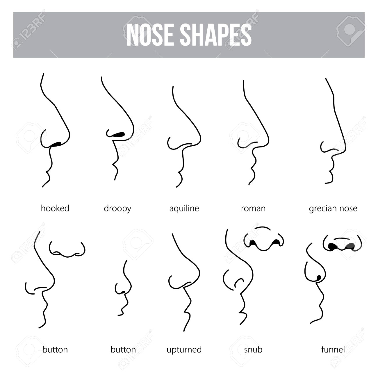 Виды носа на английском