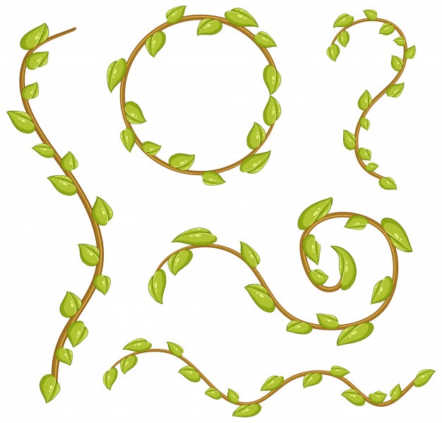 Free Vector Vines And Leaves At Getdrawings 