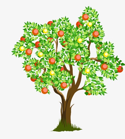 Fruit Tree Vector at GetDrawings | Free download