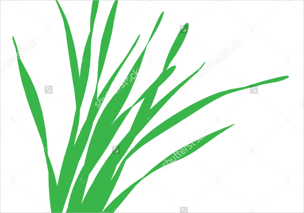 Tall Grass Vector At Getdrawings Free Download 4026