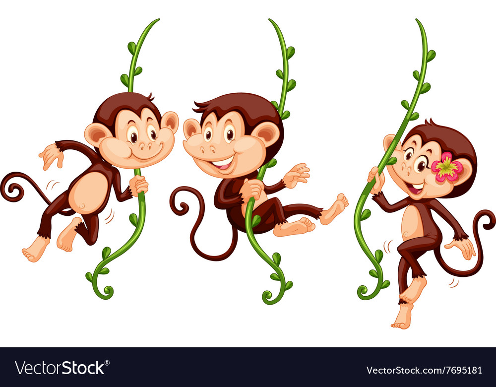 Hanging Monkey Vector At Getdrawings Com Free For Personal