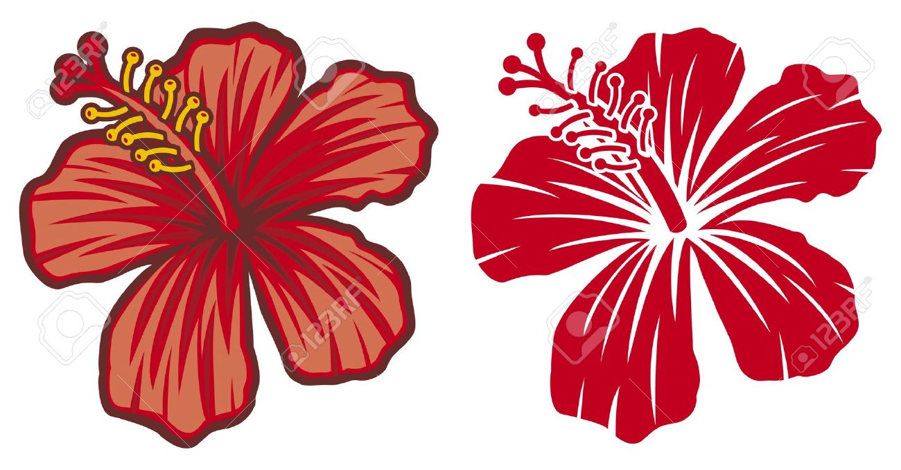 Hibiscus Vector At Getdrawings Free Download