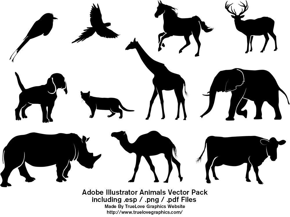 species illustrator free download