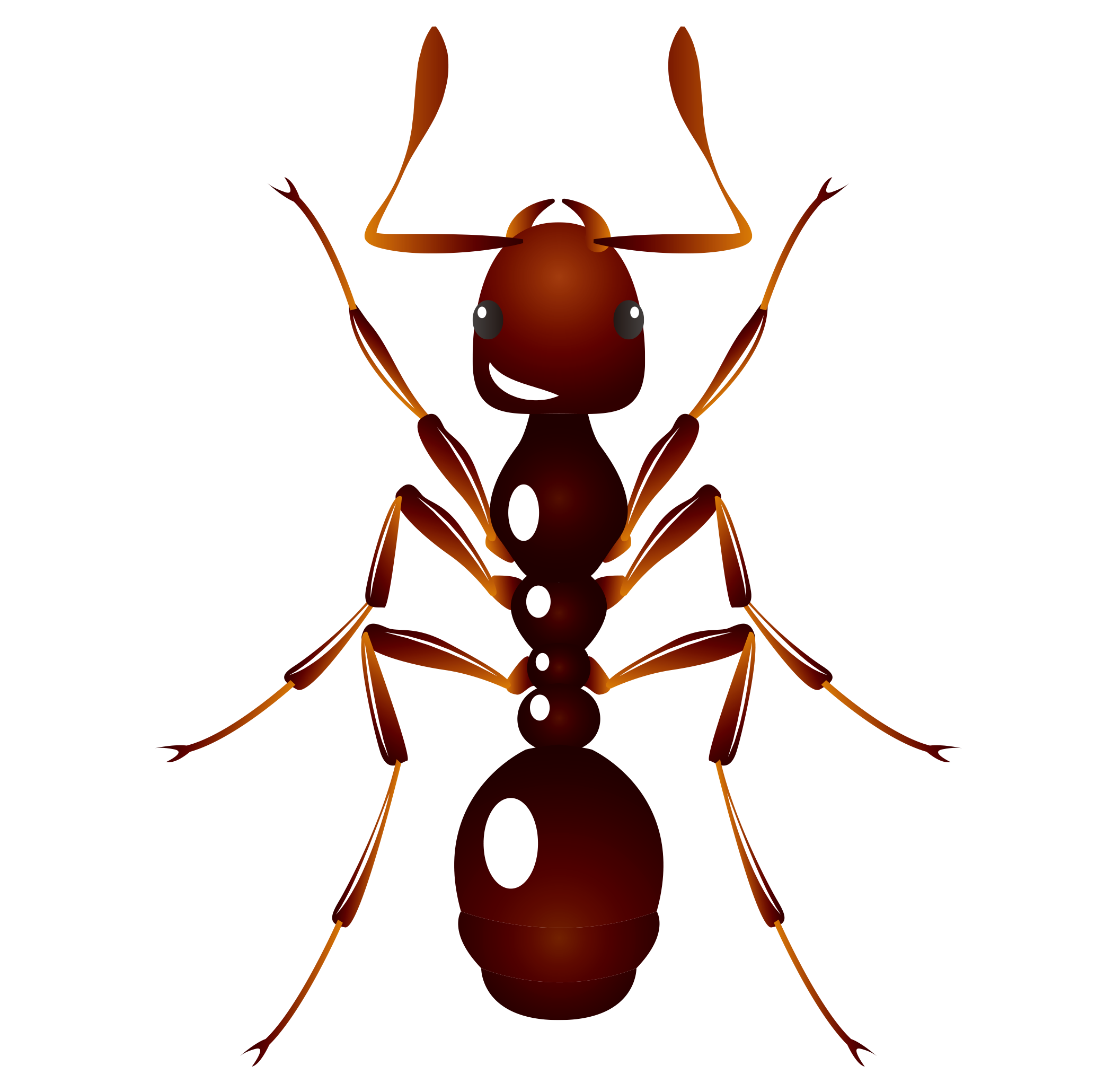 insect-vector-at-getdrawings-free-download