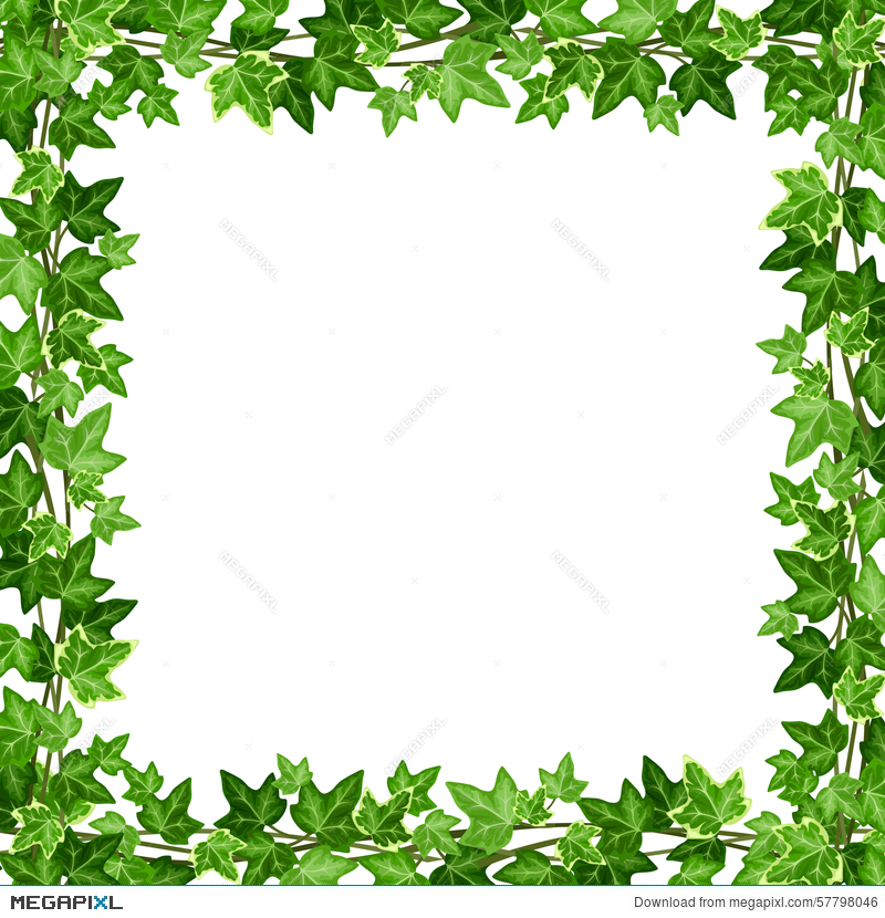 Ivy Leaf Vector at GetDrawings | Free download