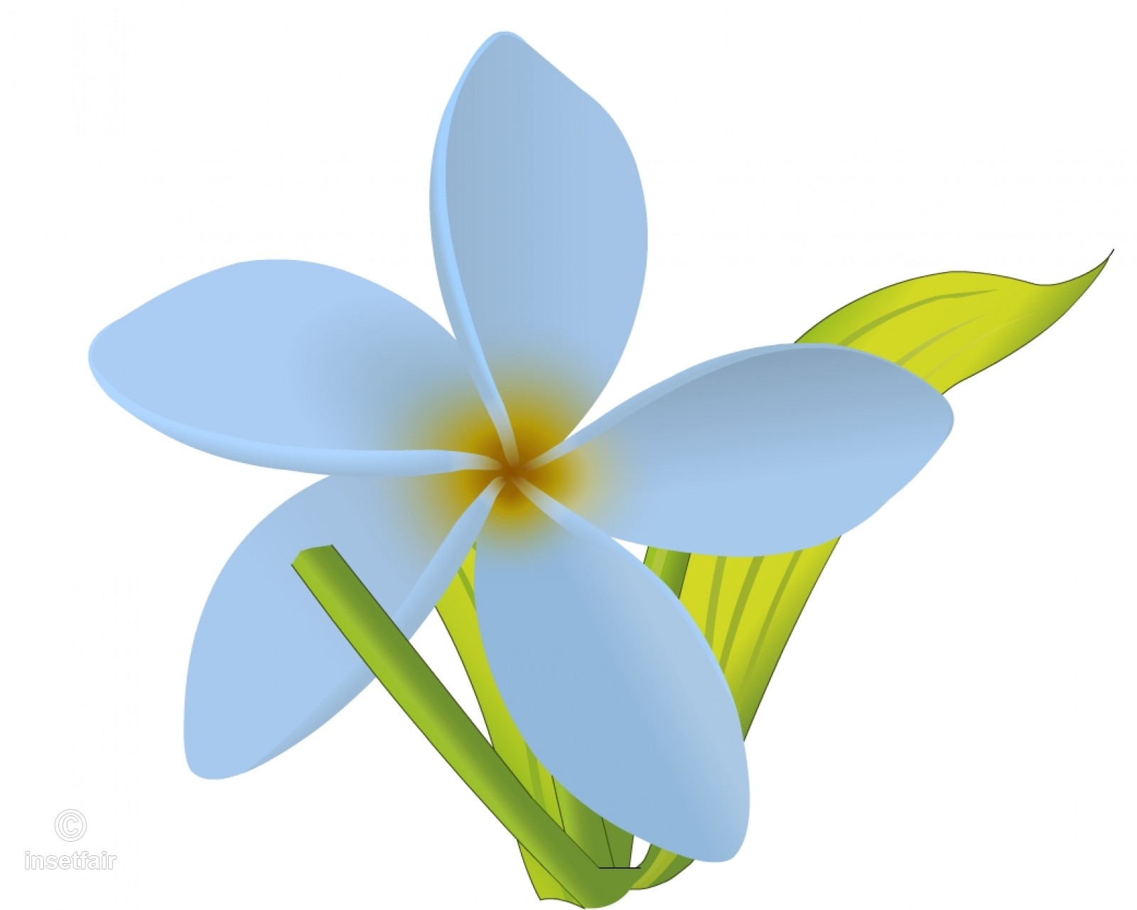 Jasmine Flower Vector at GetDrawings | Free download