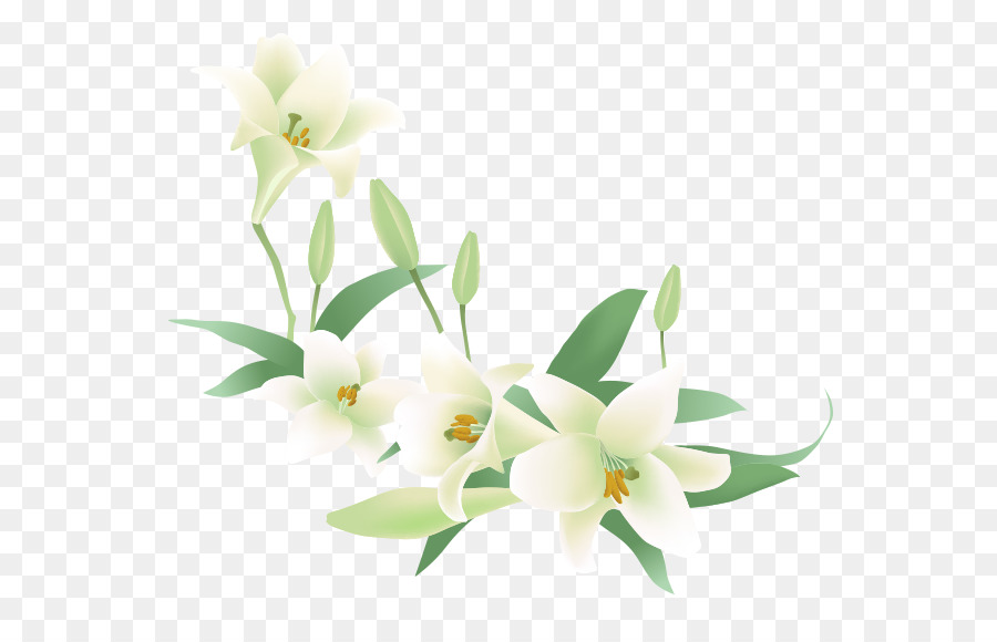 Jasmine Flower Vector at GetDrawings | Free download