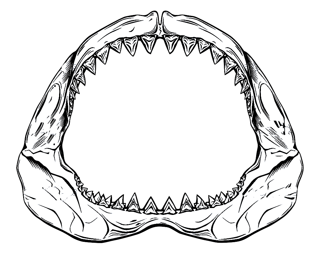 Shark Jaw Vector at GetDrawings Free download