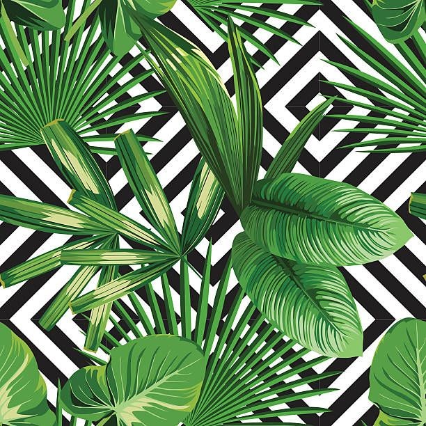 Jungle Leaves Vector at GetDrawings | Free download