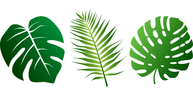 Jungle Leaves Vector at GetDrawings | Free download