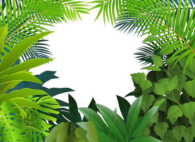 Jungle Vector at GetDrawings | Free download