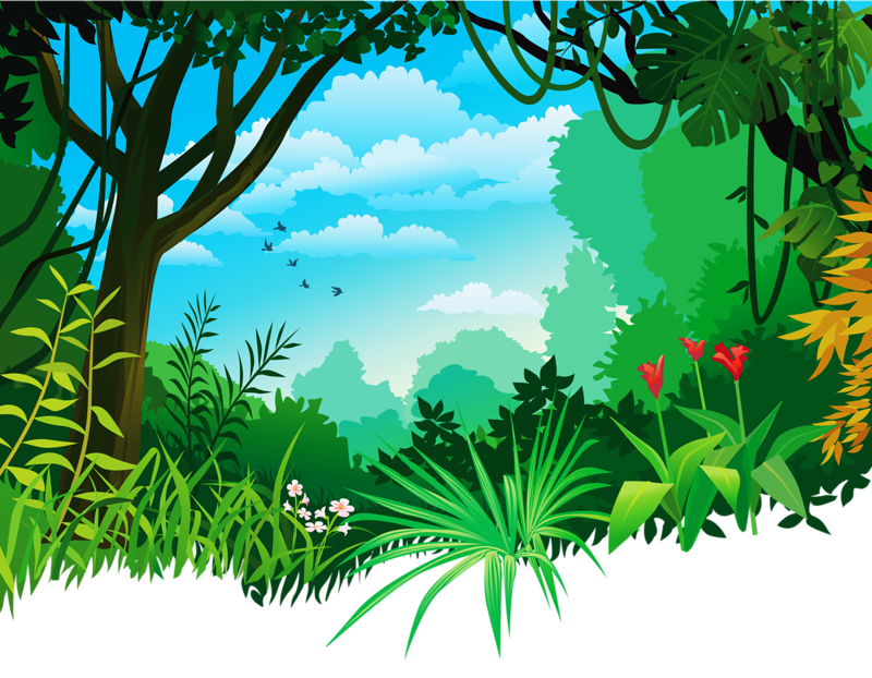 jungle illustration free download