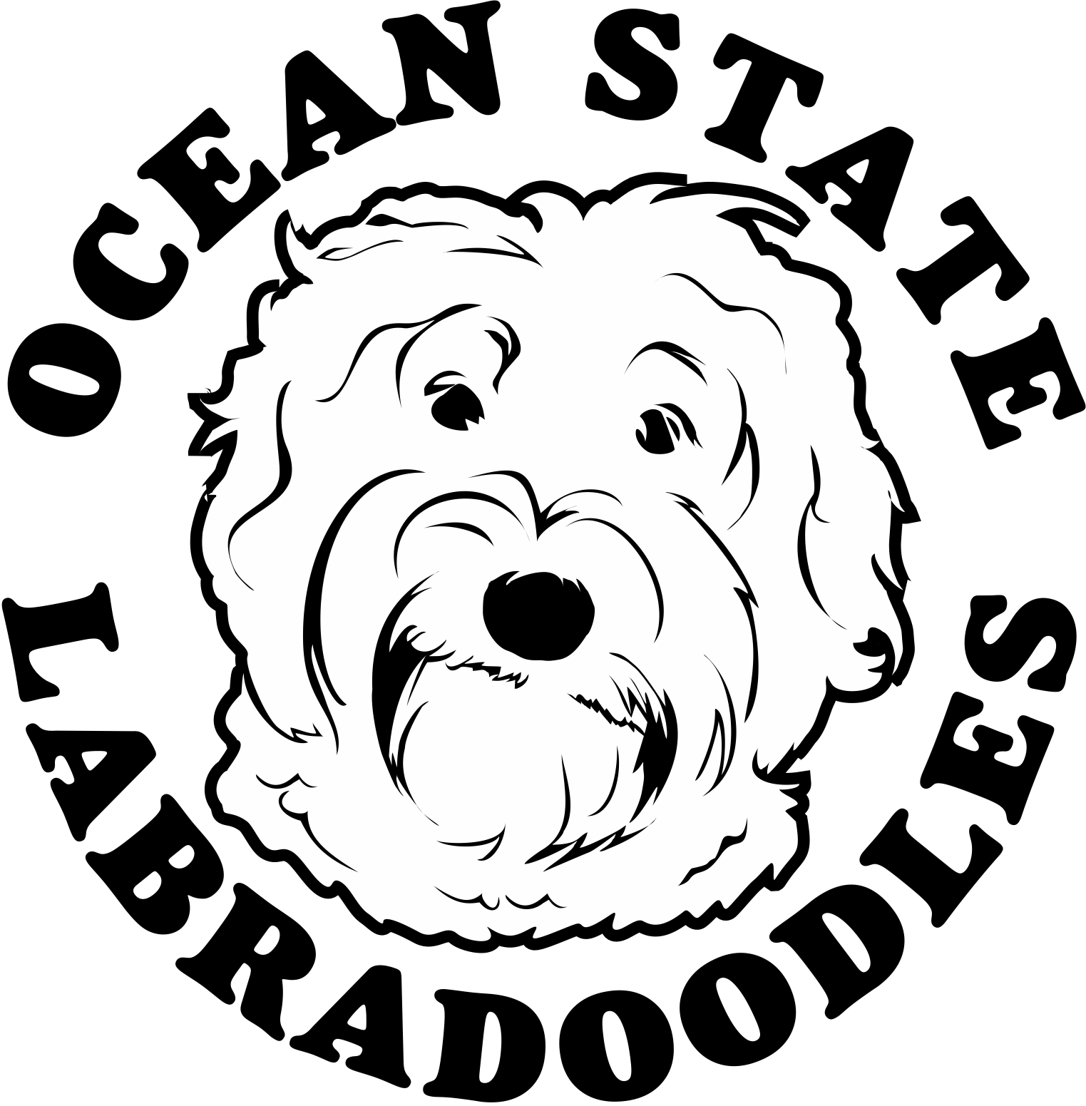 Labradoodle Vector at GetDrawings | Free download