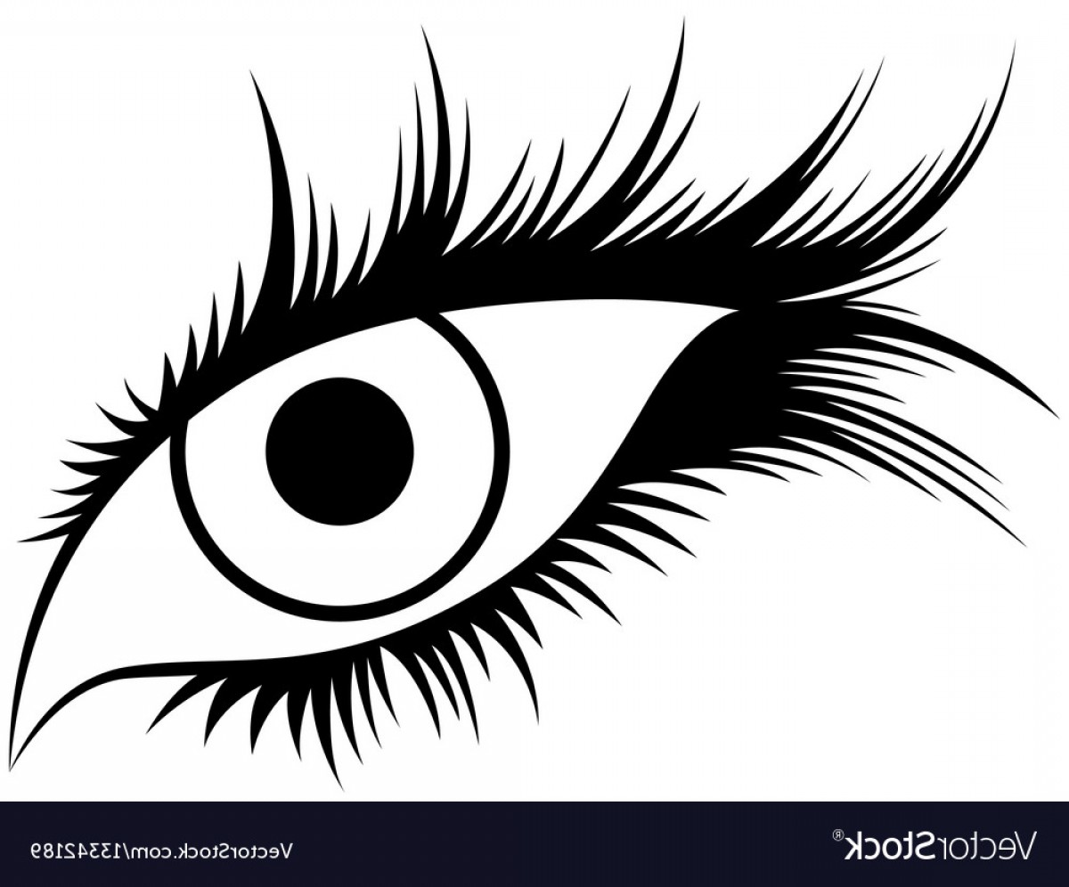 Lashes Vector At GetDrawings | Free Download