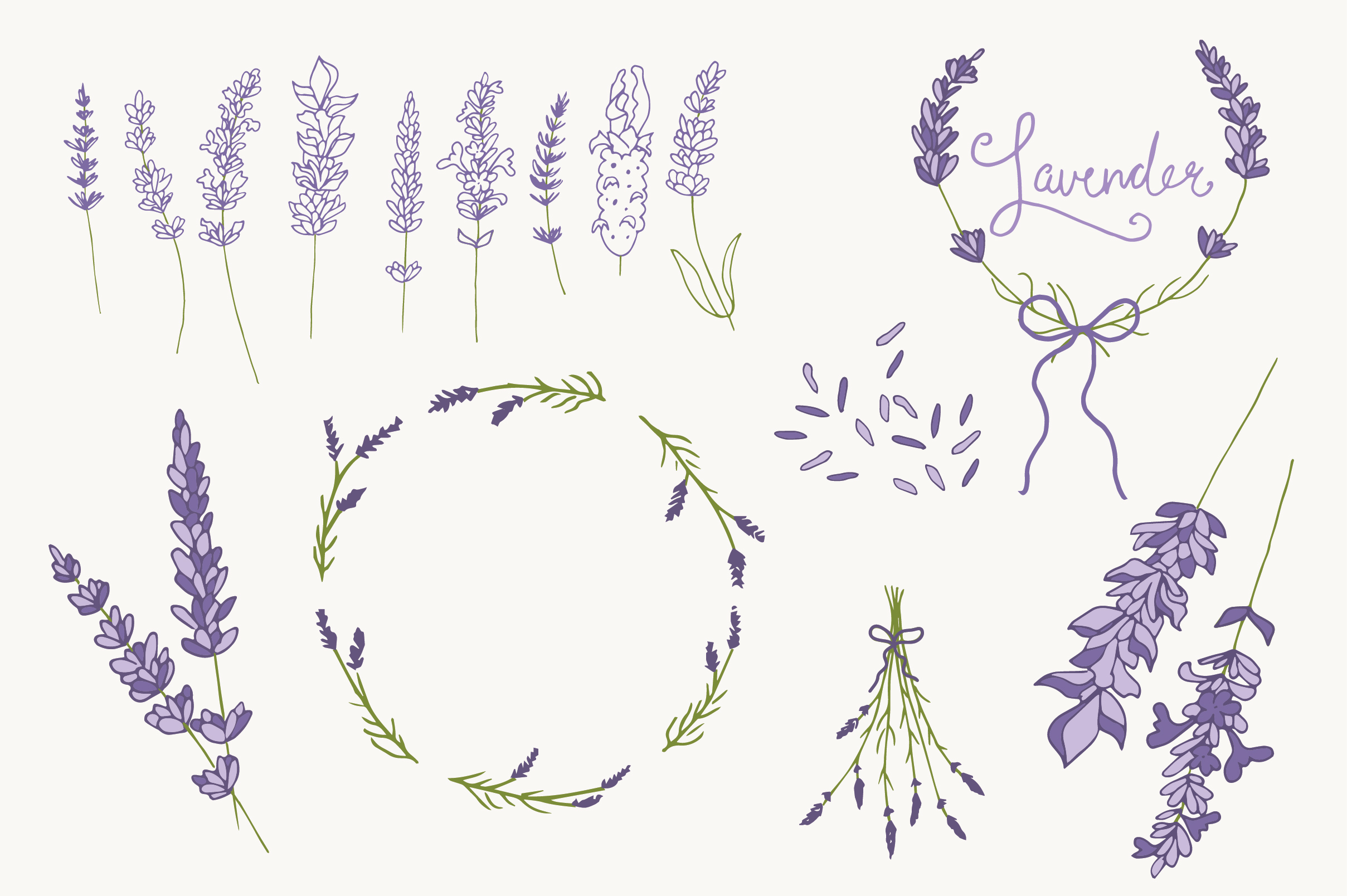lavender illustration vector free download