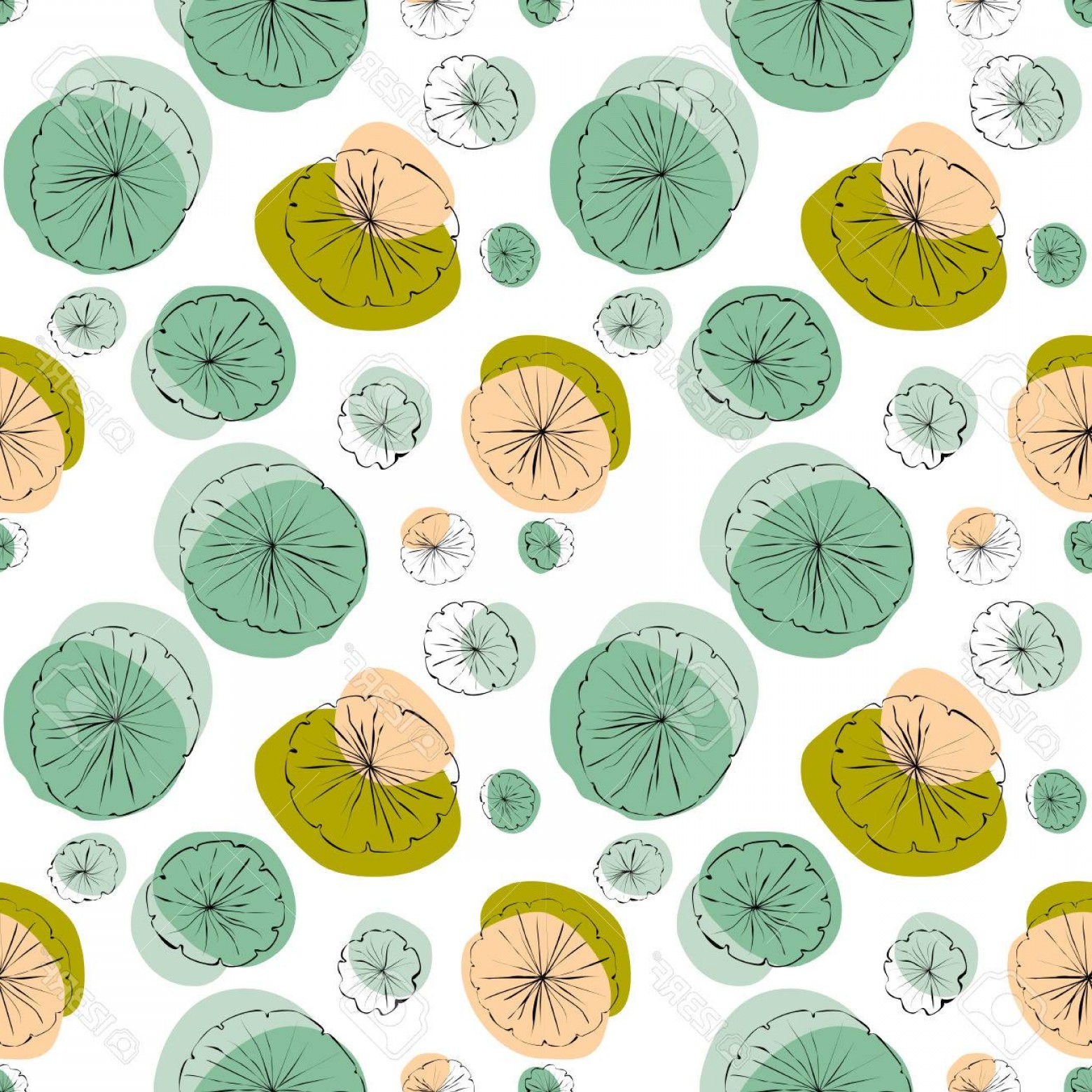 Lily Pad Vector at GetDrawings Free download