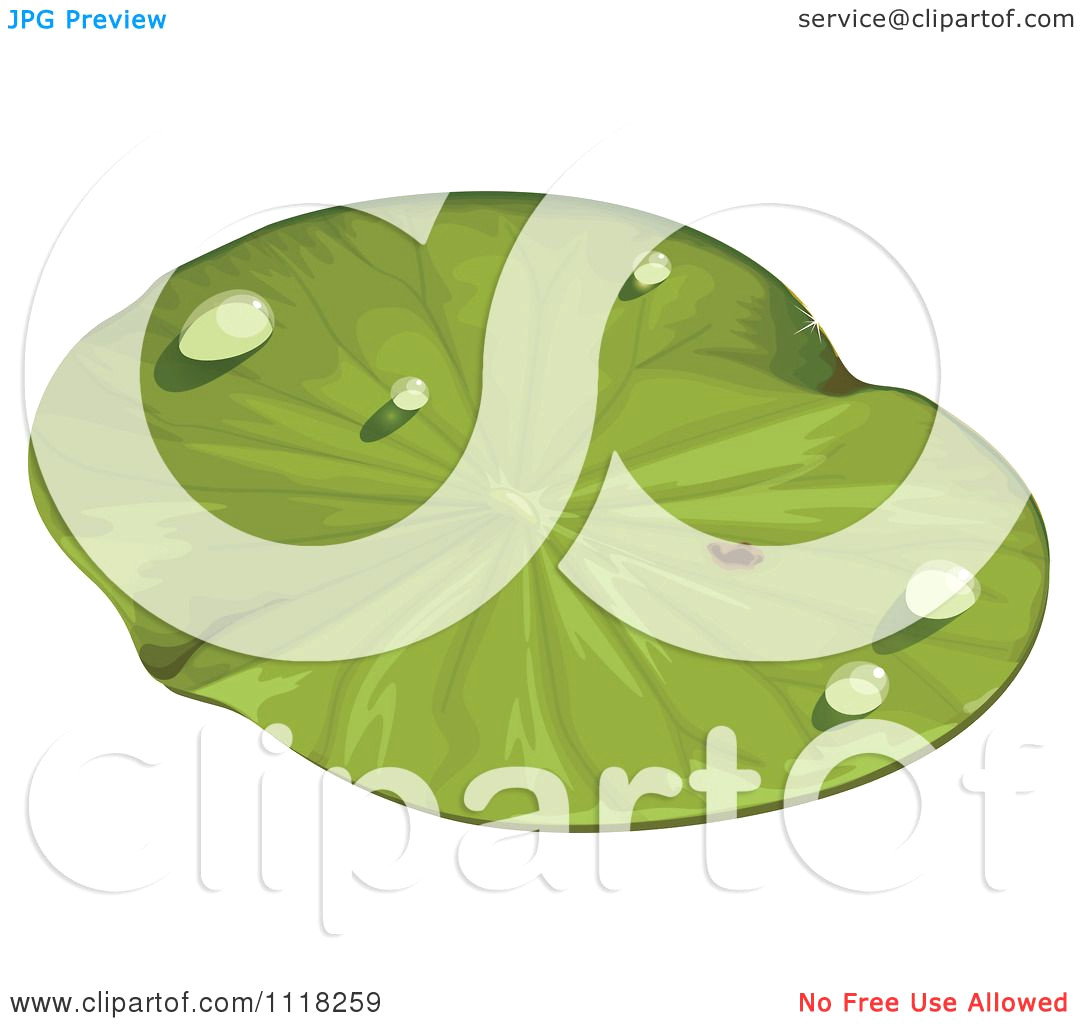 Lily Pad Vector at GetDrawings | Free download