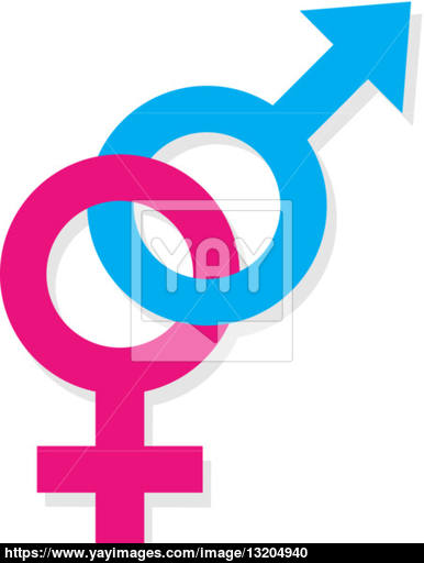 Male Female Symbol Vector At Getdrawings 