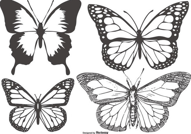 Mariposa Vector At Getdrawings Free Download