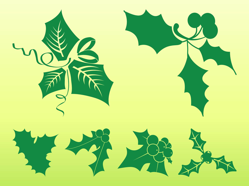 Mistletoe Vector At GetDrawings | Free Download