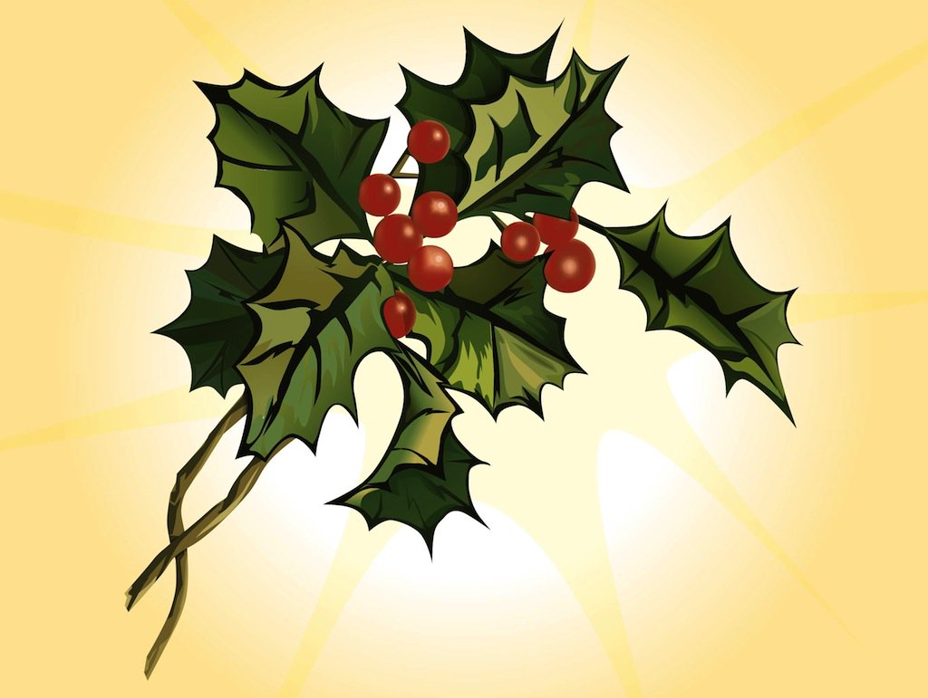 Mistletoe Vector Free At GetDrawings | Free Download