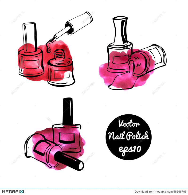 Nail Polish Bottle Vector at GetDrawings | Free download