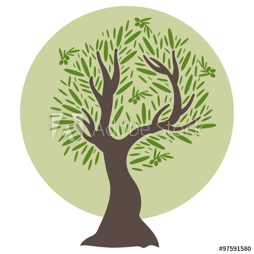 Olive Tree Vector at GetDrawings | Free download