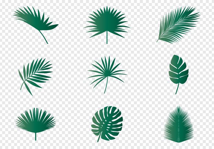 Palm Leaf Vector at GetDrawings | Free download