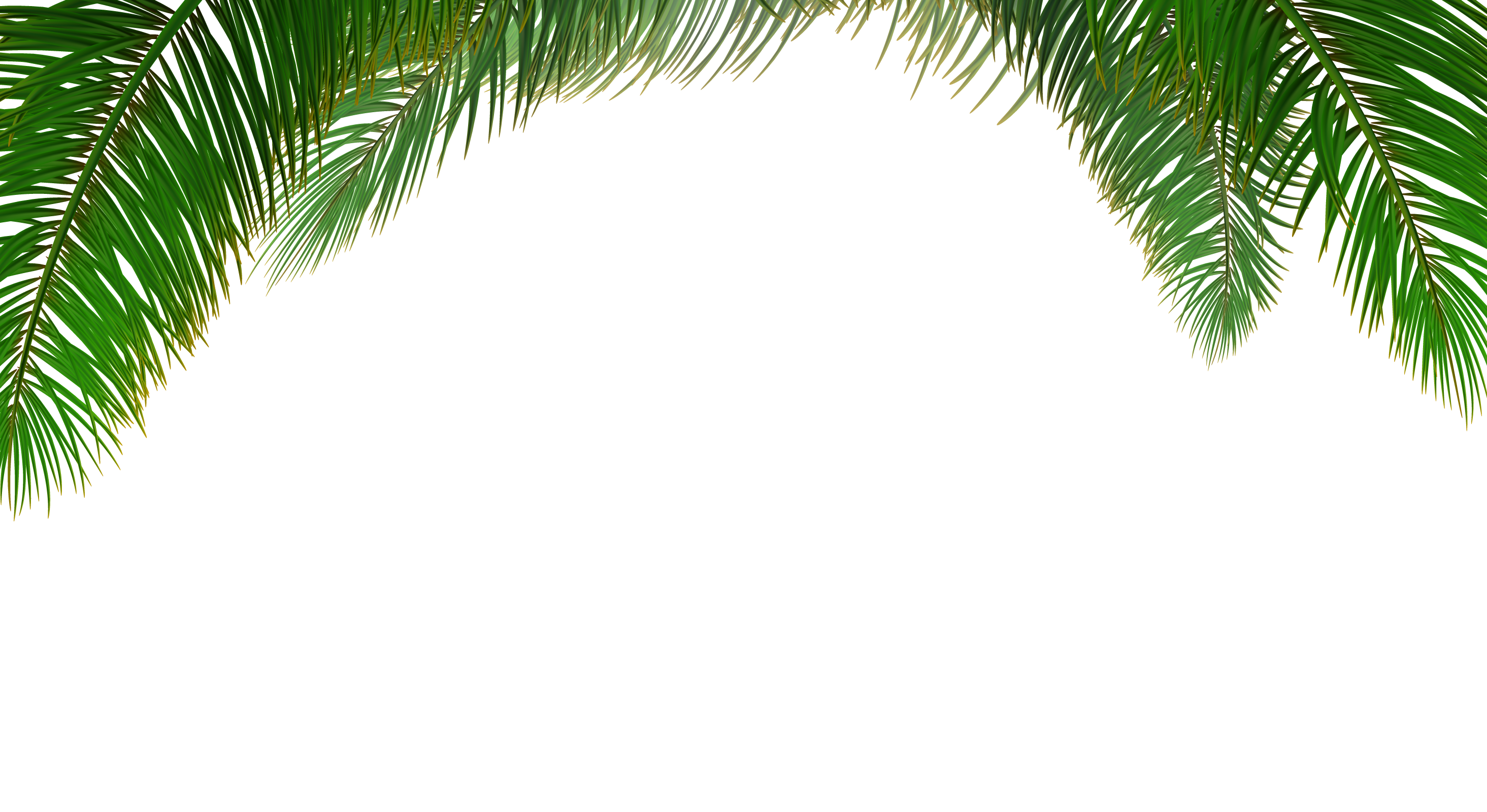 Palm Leaves Vector Free Free Download Image 2020