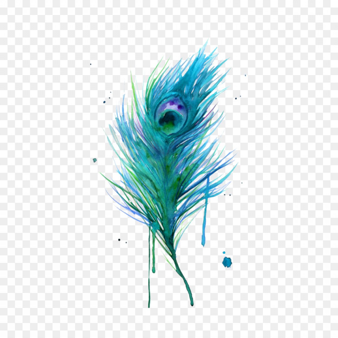 Download Peacock Feather Vector Png at GetDrawings | Free download