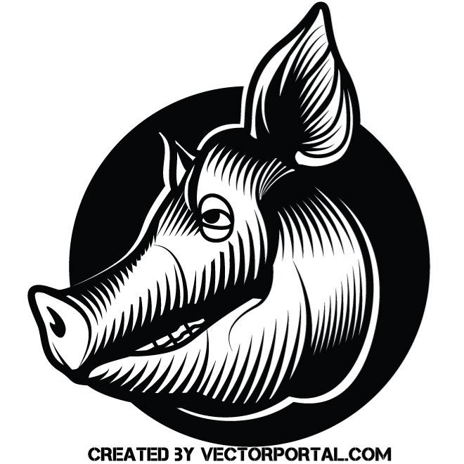 Pig Head Vector at GetDrawings | Free download