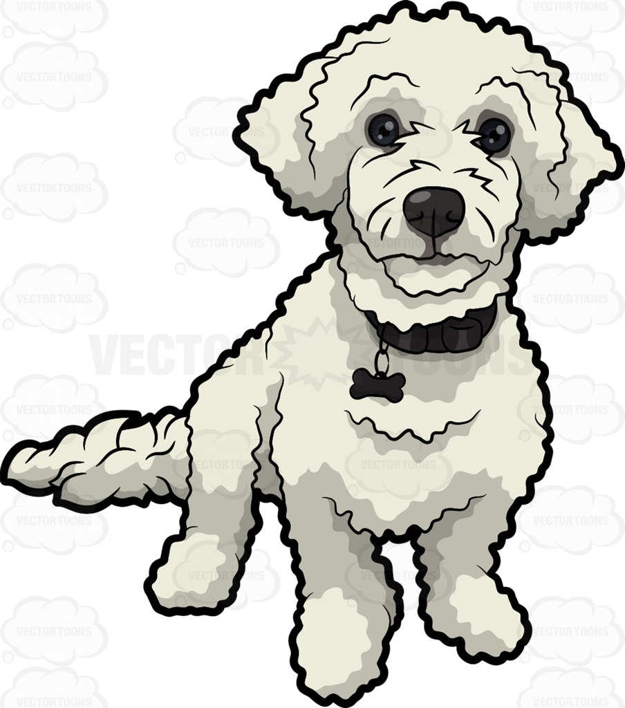 Poodle Vector at GetDrawings | Free download