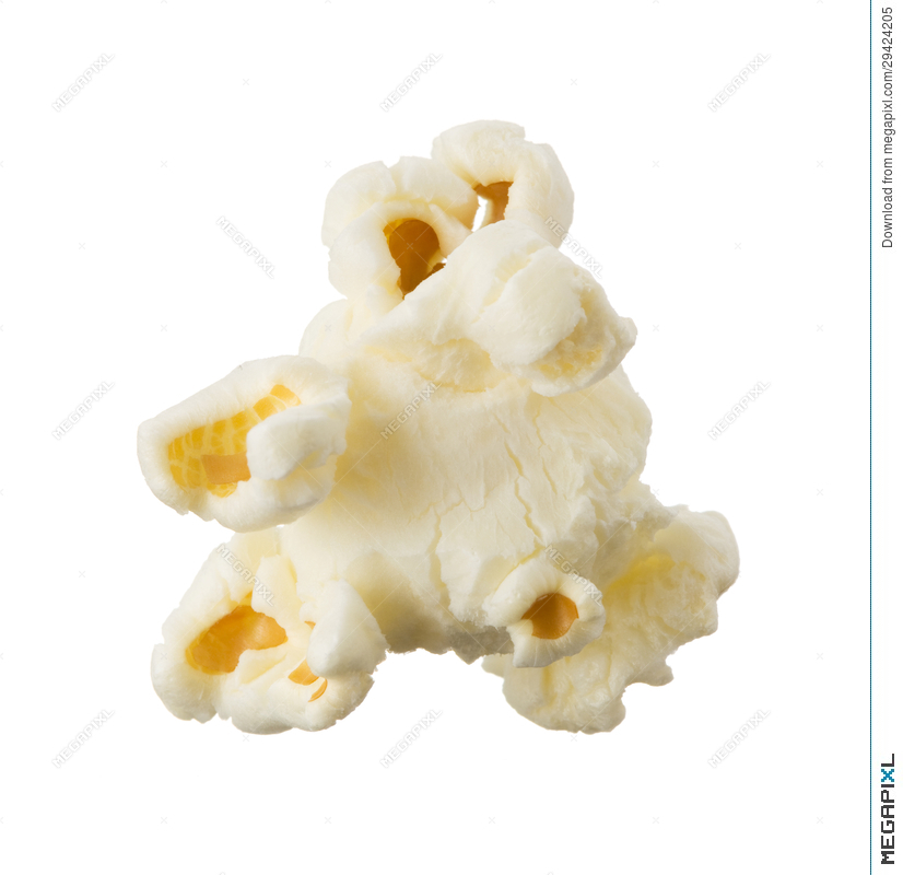 Popcorn Kernel Vector at GetDrawings Free download