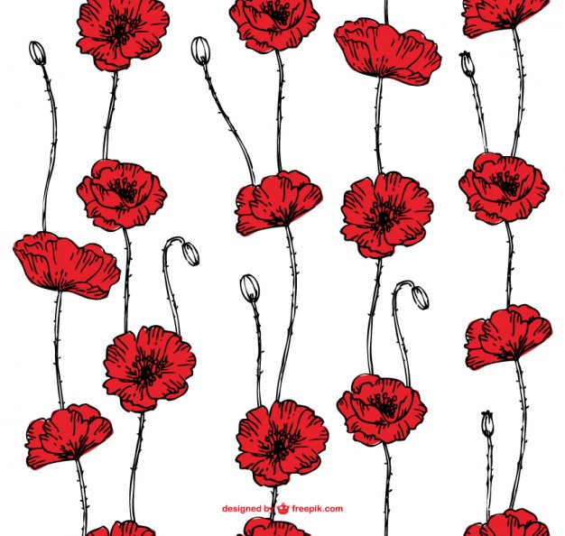 Poppy Vector at GetDrawings | Free download