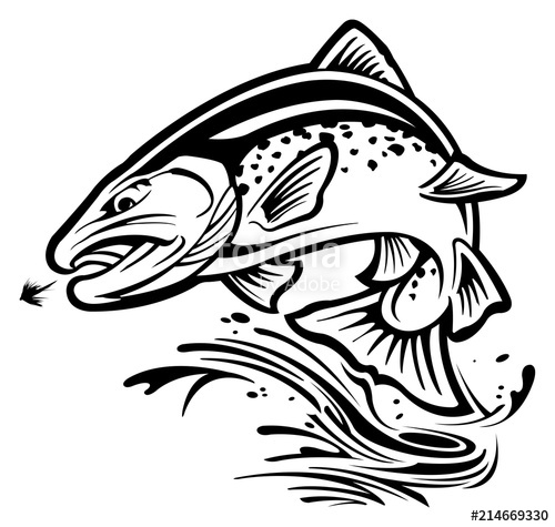 Rainbow Trout Vector At Getdrawings 