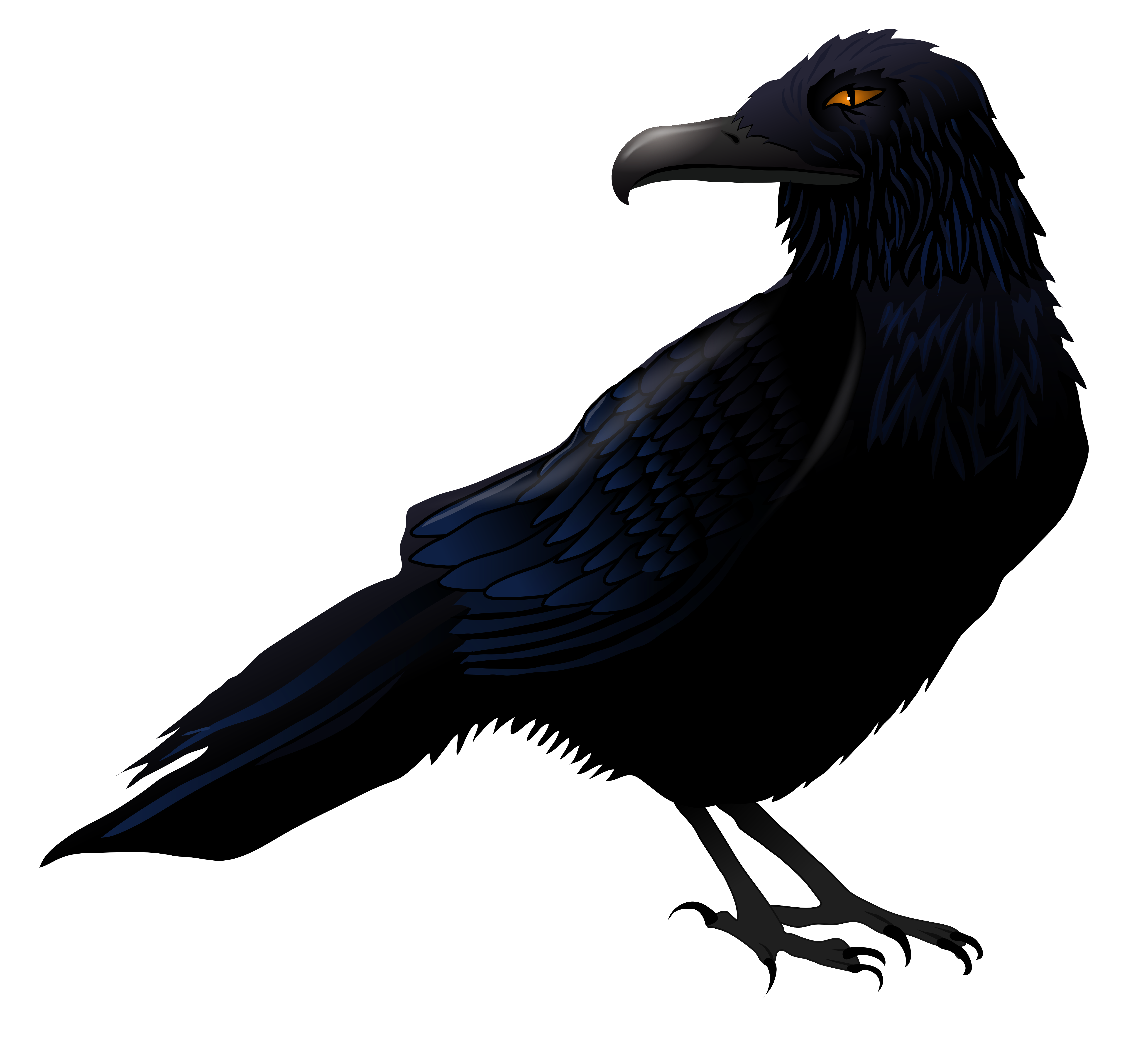 Raven Vector Art At Getdrawings Free Download