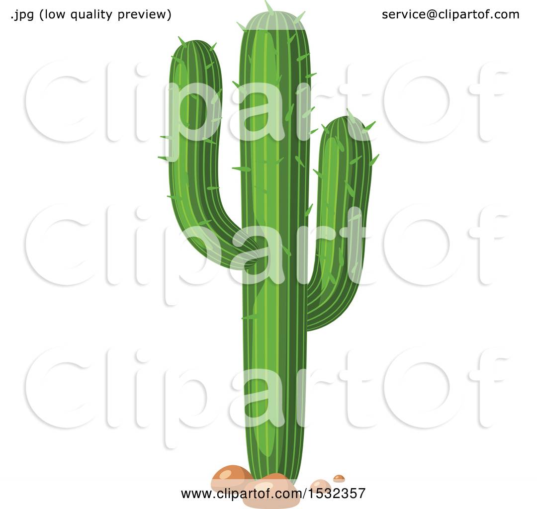 Saguaro Cactus Vector At Getdrawings Free Download 3768