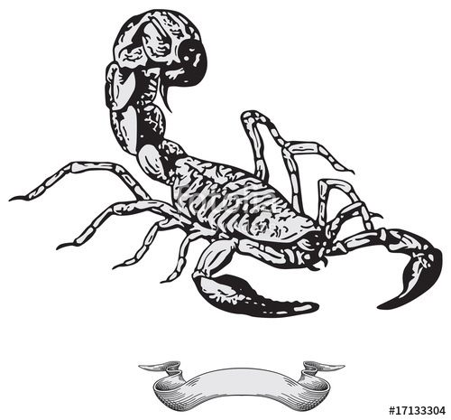 Scorpion Vector Free At Getdrawings 