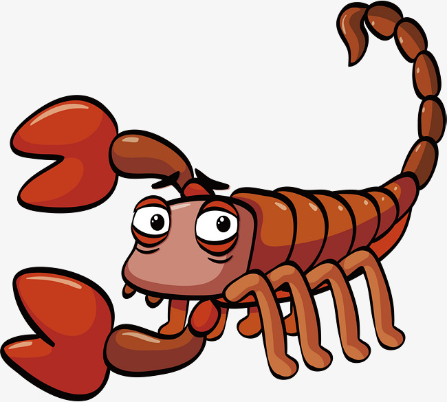 The best free Scorpion vector images. Download from 121 free vectors of