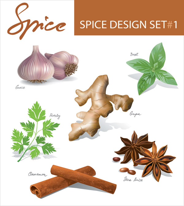Spices Vector at GetDrawings | Free download