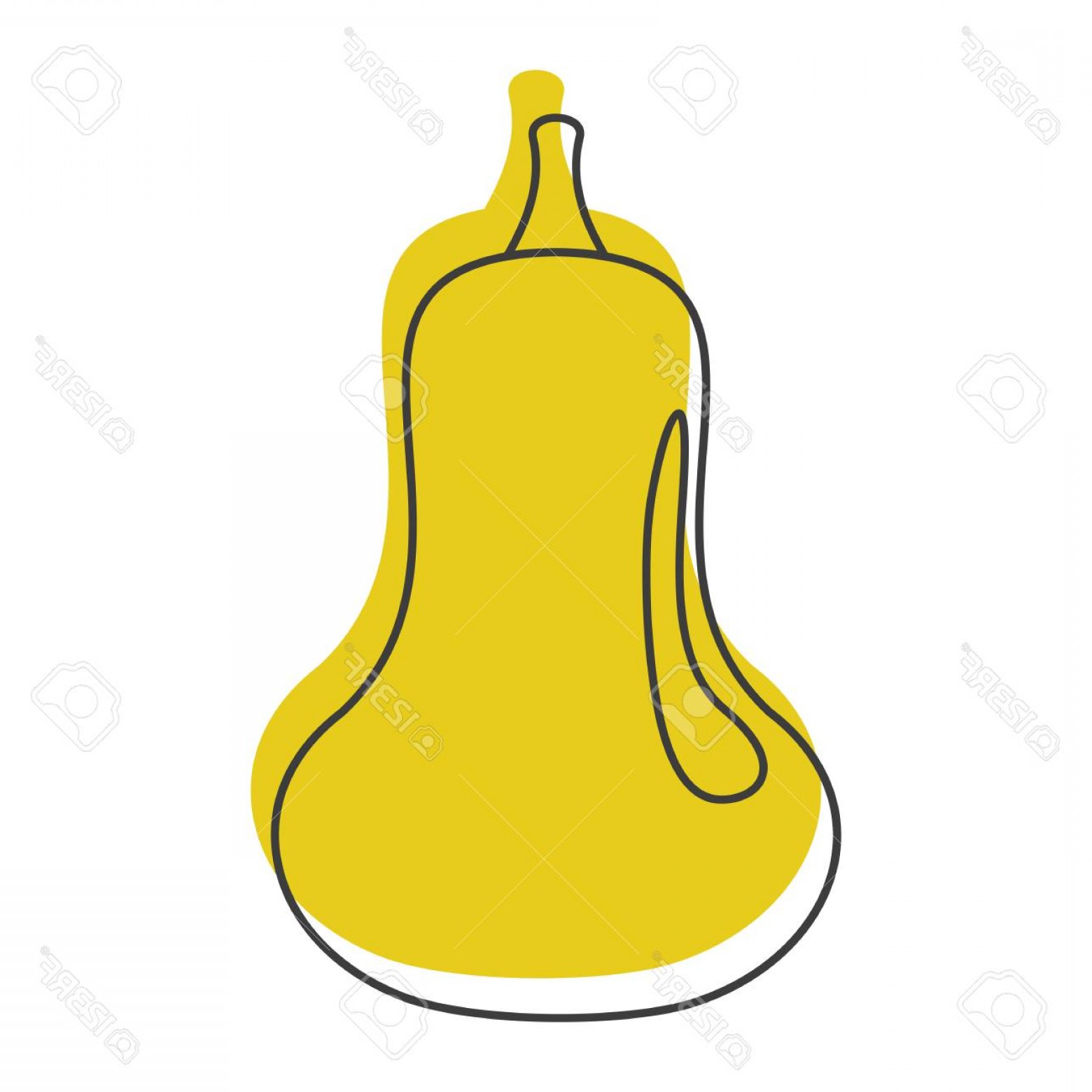 The best free Squash vector images. Download from 28 free vectors of