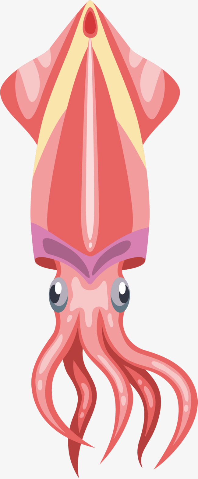650x1567 Vector Pink Squid, Vector Material, Squid, High Fat Png And Vector.