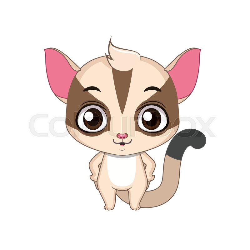 Sugar Glider Vector at GetDrawings | Free download